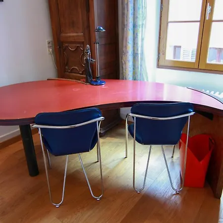 La Glycine Du Faubourg Apartment Annecy