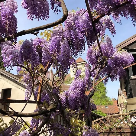 La Glycine Du Faubourg Apartment Annecy